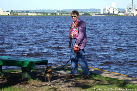 dog-walking-lake-superior-highway-61.jpg