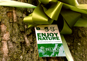enjoy-nature-by-paul-chenoweth.jpg