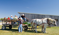 hayride-at-shaw-farms-milford-oh-by-photobunny.jpg