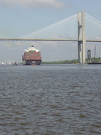 port-in-savannah-georgia-photo-by-mrshruby.jpg