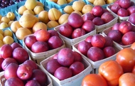 shopping-at-farm-markets.jpg