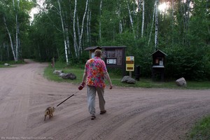 dog-on-walk-rv-park.jpg