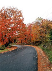 fall-colors-by-grant-macdonald.jpg