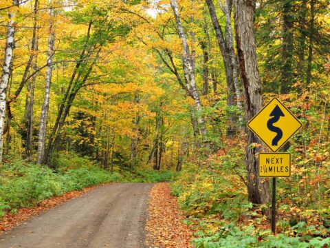 An example of a forest road, although many are even rougher and less traveled. 