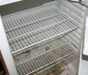 Mold inside an RV refrigerator is a common problem. photo by MinivanNinja on Flickr