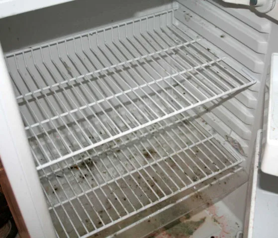 Mold inside an RV refrigerator is a common problem. photo by MinivanNinja on Flickr