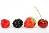 raspberry-blackberry-strawberry-cherry-by-lockstockb.jpg