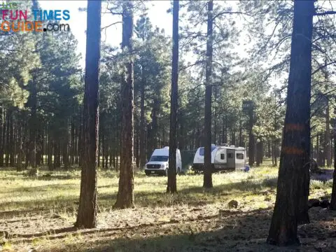 Here I'm camping on National Forest land for free.